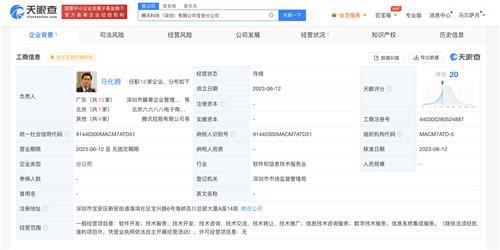 馬化騰任騰訊科技寶安分公司負(fù)責(zé)人，聚焦信息系統(tǒng)集成服務(wù)發(fā)展