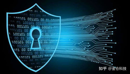 Web3.0、IPFS與Filecoin的協(xié)同演進(jìn) 信息系統(tǒng)集成服務(wù)的視角